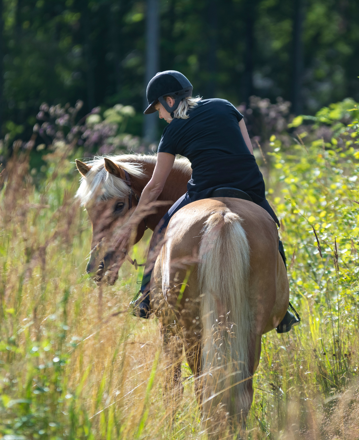 RUTAS A CABALLO MICE Huesca